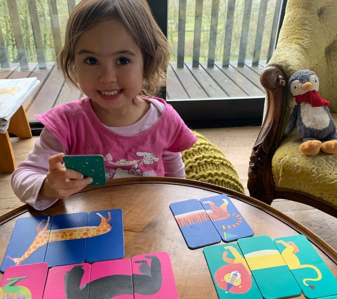 Children’s Animals Mix-Up Game 6 Children’s Animals Mix-Up Game - Image 6