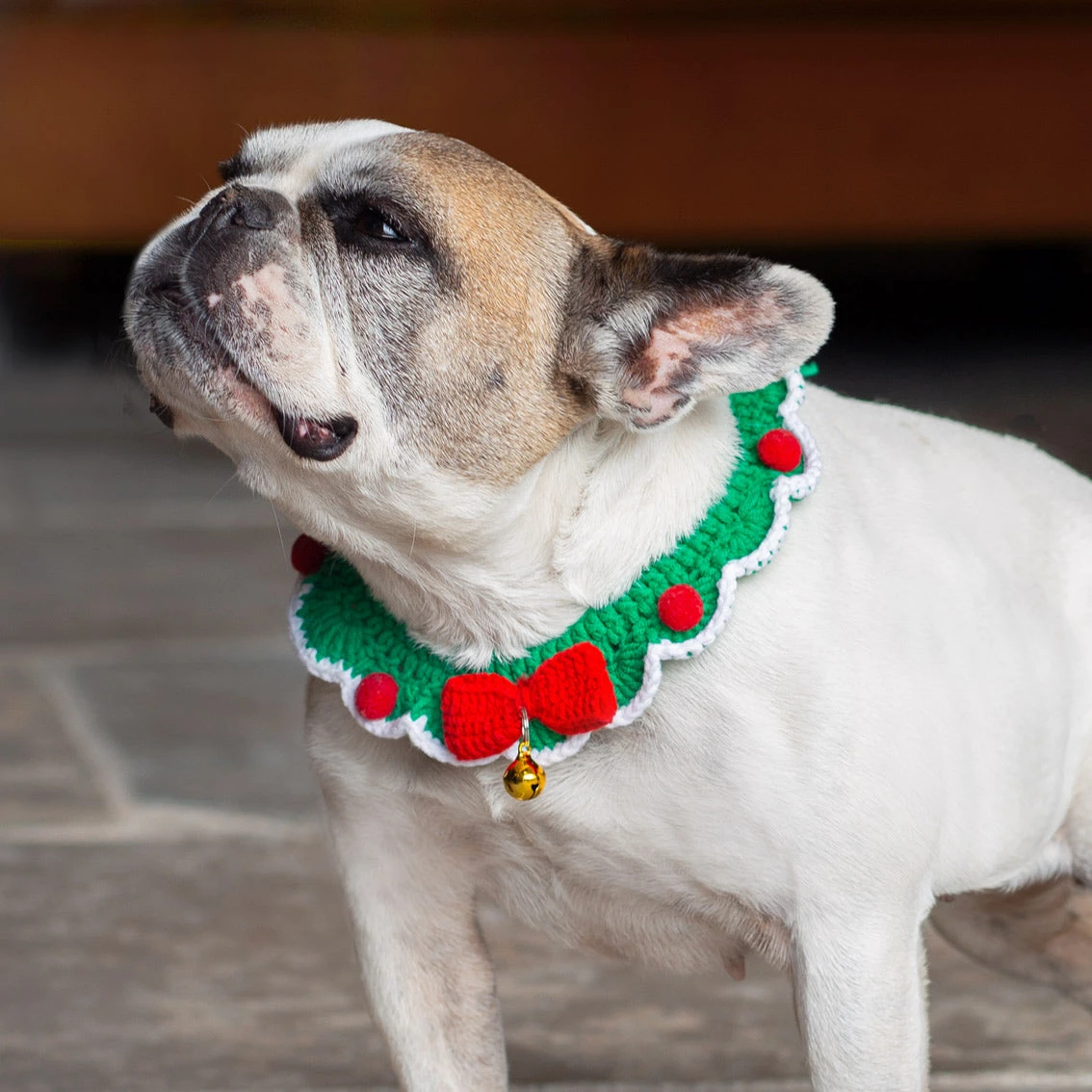 Christmas Crochet Dog Collar 2 Christmas Crochet Dog Collar - Image 2