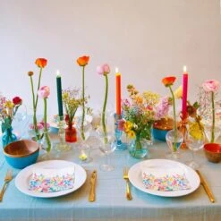 Meadow Napkins -Perfect Party Store BOHO BLUCNDLHOLD 02