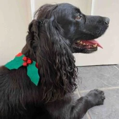 Christmas Holly Dog Dress Up -Perfect Party Store BotanicalHountHollyCollar07 WEB