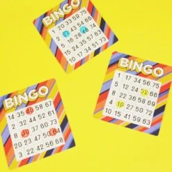 Host Your Own Bingo -Perfect Party Store HOST BINGO V2 02