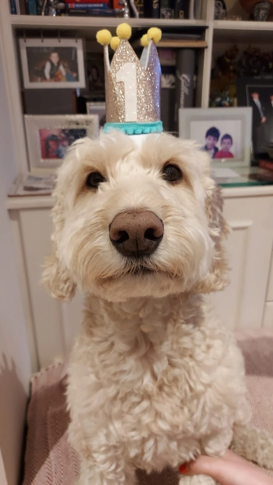 1st Birthday Gold Crown 4 1st Birthday Gold Crown - Image 4