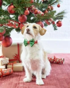 Sequinned Christmas Dog Bow Tie 14 Sequinned Christmas Dog Bow Tie -Perfect Party Store TT AW19 15279