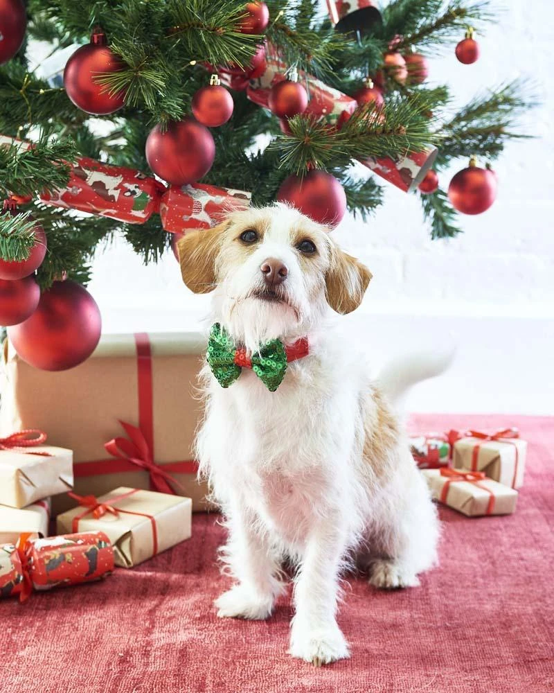 Sequinned Christmas Dog Bow Tie 3 Sequinned Christmas Dog Bow Tie - Image 3