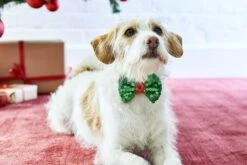 Sequinned Christmas Dog Bow Tie 13 Sequinned Christmas Dog Bow Tie -Perfect Party Store TT AW19 15316
